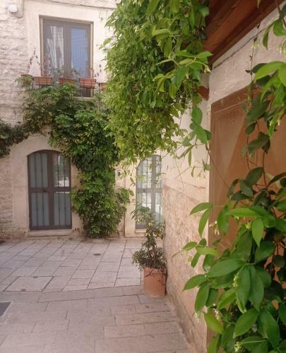 Palo Del Colle Ierva Chiain, Guest House