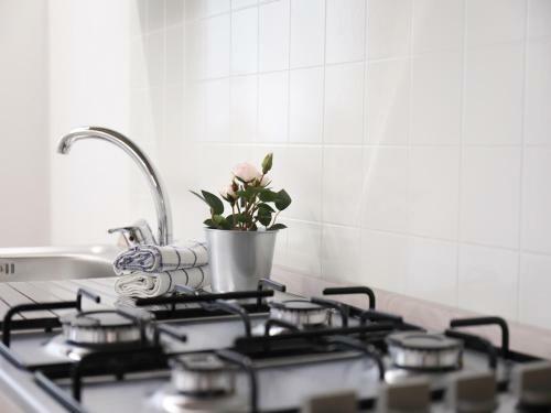 Apartamento Prato Della Valle Studio