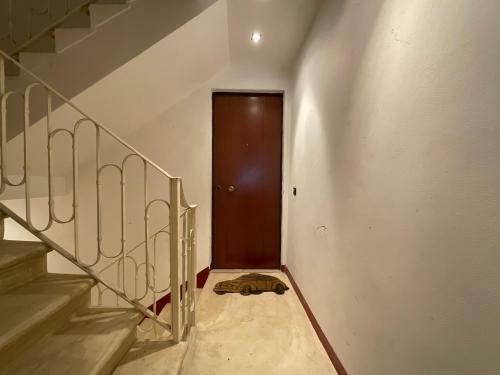 Apartamento Battisti Cozy Flat