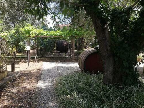 Apartamento Verde & Mare