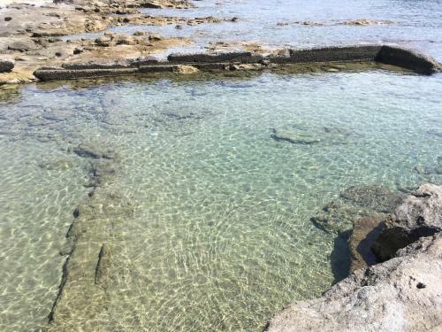 Hostal La Stanzetta D� Lulu?