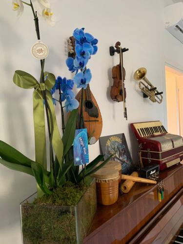 Bed & Breakfast Music House Palinuro