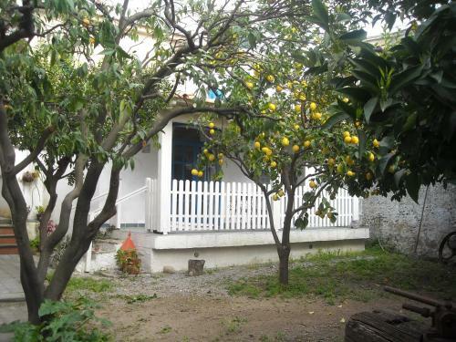 Apartamento Gigia's House