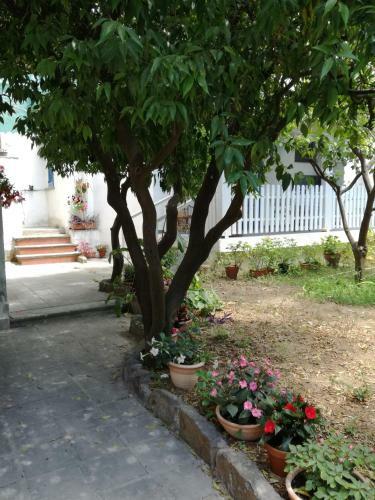 Apartamento Gigia's House
