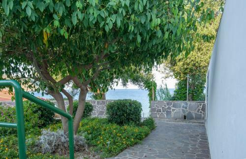 Apartamento Casa Palinuro Vacanze