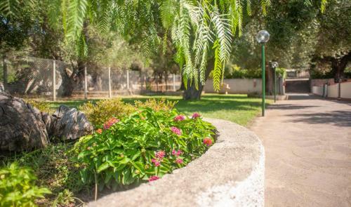 Apartamento Casa Palinuro Vacanze