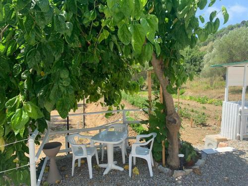 Palinuro Casa Vacanza Melita
