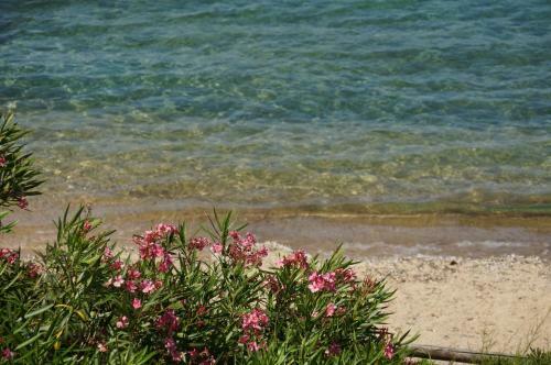 Apartamento Casa A 10m Dal Mare
