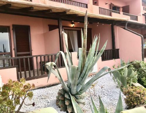 Apartamento Holiday House Palau
