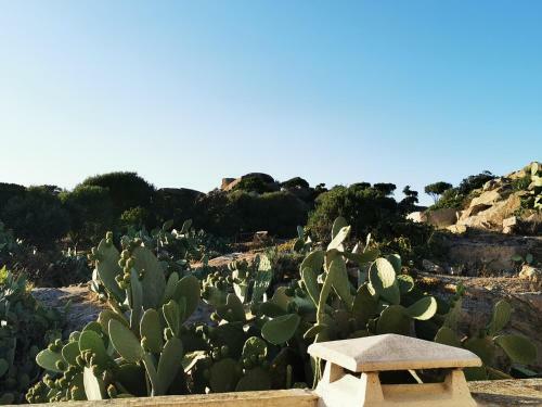 Apartamento Palau Maisonettes