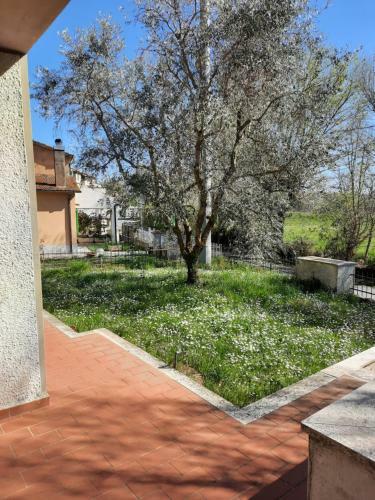 Villa La Tana Del Morellino
