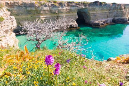 Casa Vacanze Calliope In Salento, 5 Posti