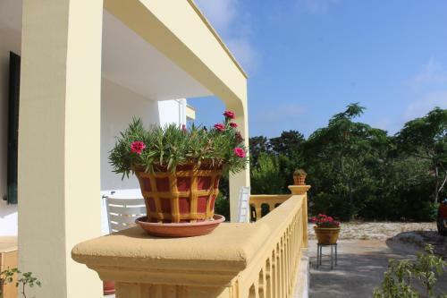 Bed & Breakfast La Lanterna Delle Fate