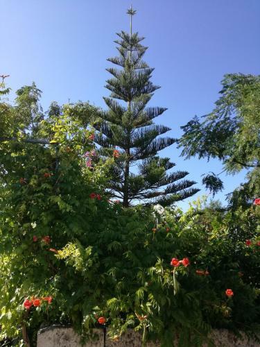 Bed & Breakfast La Lanterna Delle Fate