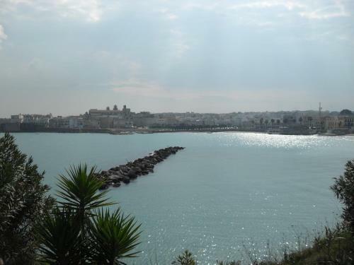 Apartamento Gradevole Appartamento