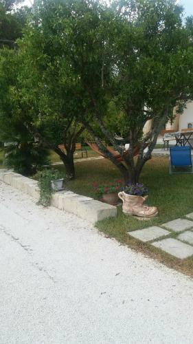 B&B Piccolo Vigneto