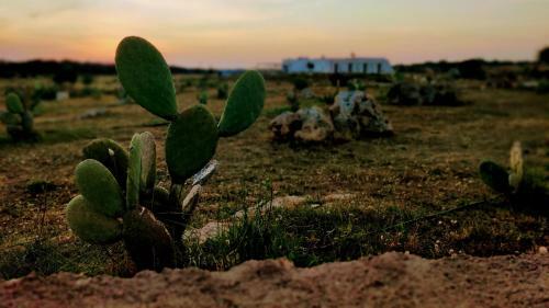Agroturismo Tenuta Sofia