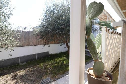 Apartamento Casa Vacanza Lu Ientu