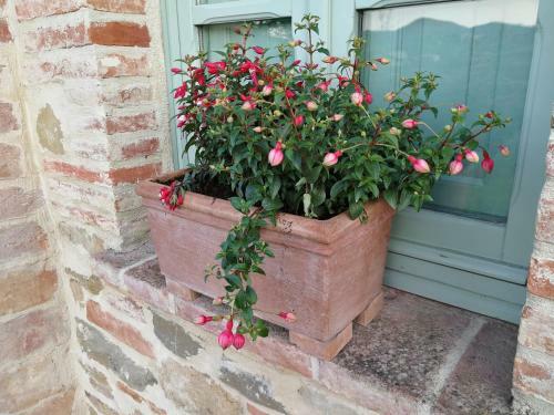 Apartamento Podere San Crico