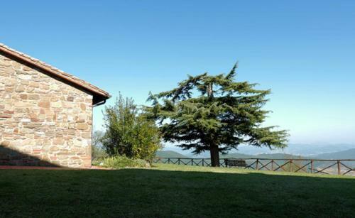 Montali 18