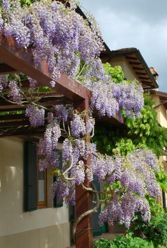Apartamento Casa Ai Pini