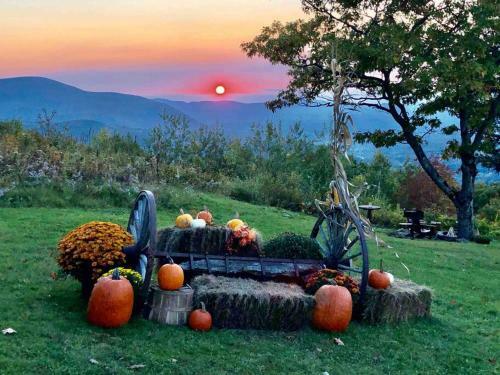 The Wampanoag Cabin @ The Wigwam Western Summit