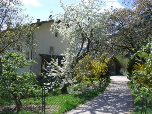Apartamento Mareinhof