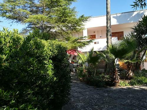 Bed & Breakfast Villa Apollonia