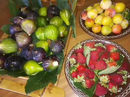 Bed & Breakfast Villa Apollonia