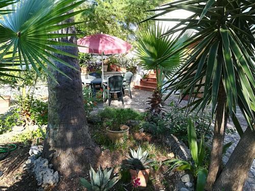 Bed & Breakfast Villa Apollonia