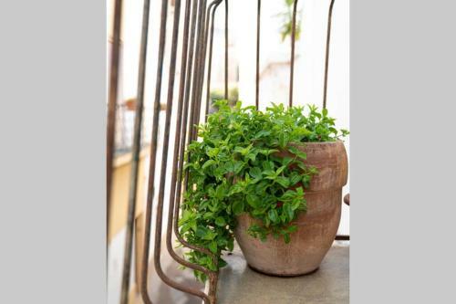 Apartamento Casa Di Gi�