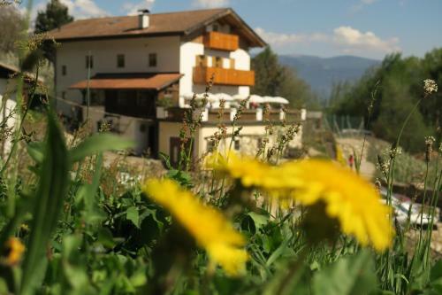 Agroturismo Winklerhof