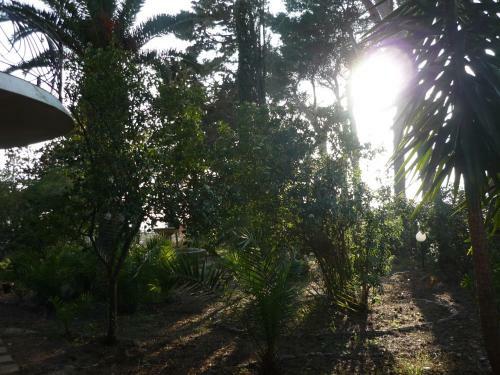 Apartamento Villa Muia