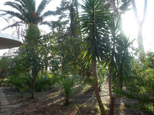 Apartamento Villa Muia
