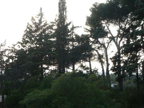 Apartamento Villa Muia