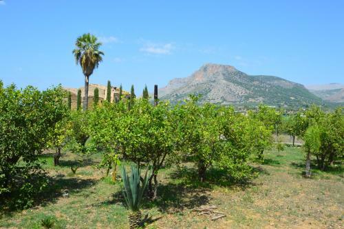 Casa Vacanza Borgo Parrini