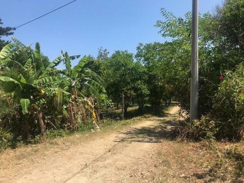 Apartamento Residenza Crivo