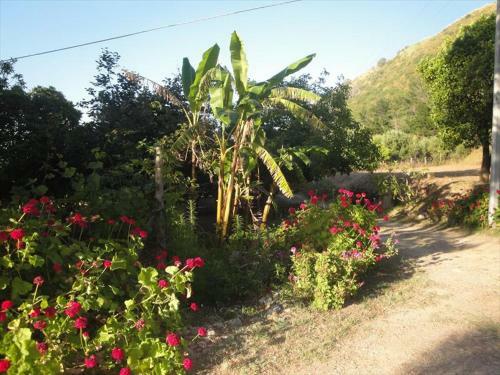 Apartamento Residenza Crivo