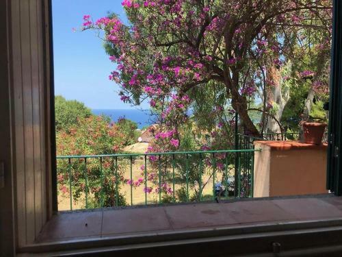 Apartamento Residenza Crivo
