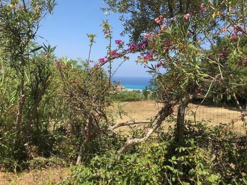Apartamento Residenza Crivo