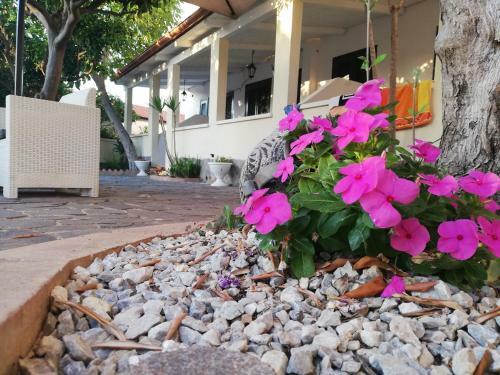Apartamento Appartamenti Tropea Gargano