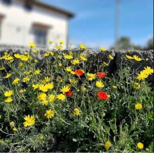 Hostal Ranch Simeto