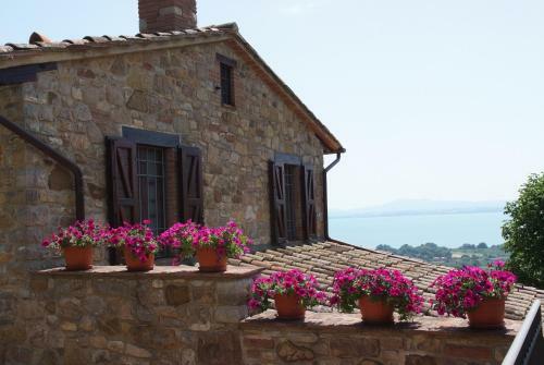 Agroturismo Agriturismo La Volpaia