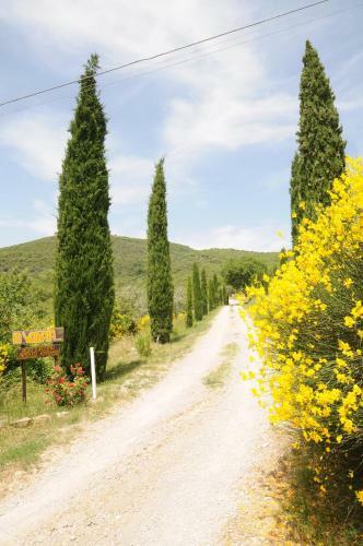 Agroturismo Agriturismo La Volpaia