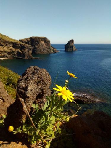 Hostal A Casa Du Z� Tot�