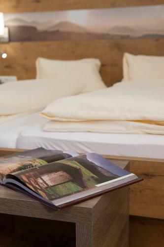 Hostal Landgasthof Fally