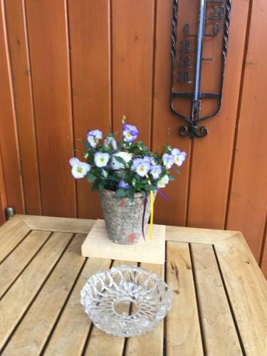 Hostal Landgasthof Fally