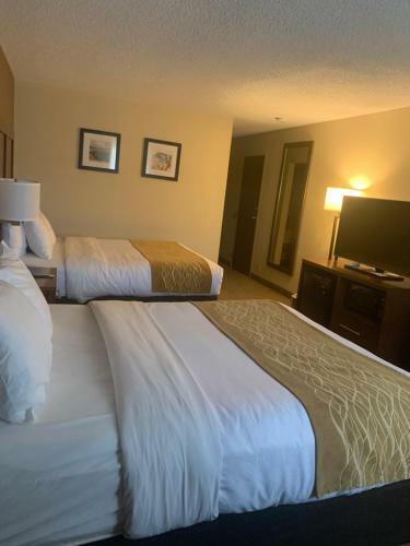 Hotel Comfort Inn Santa Rosa