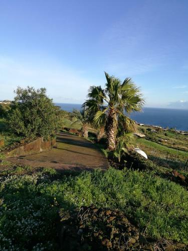 Hostal Dammusi Il Carrubo