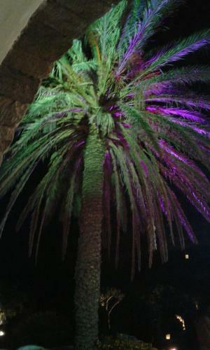 Gu Home